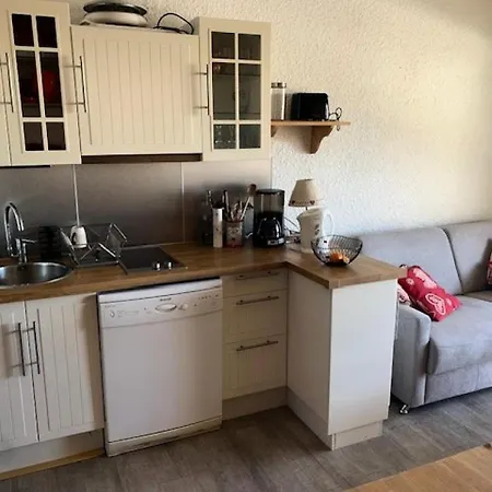 Résidence Edelweiss - Studio + Hall Habitable de 25 m² – Résidence L’EDELWEISS- Quartier du Viel ALPE- MAE-4533 *
